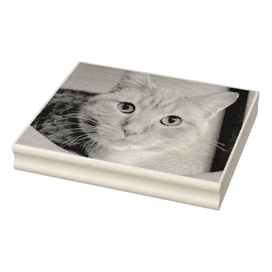 Katze Gummistempel (Stempel)