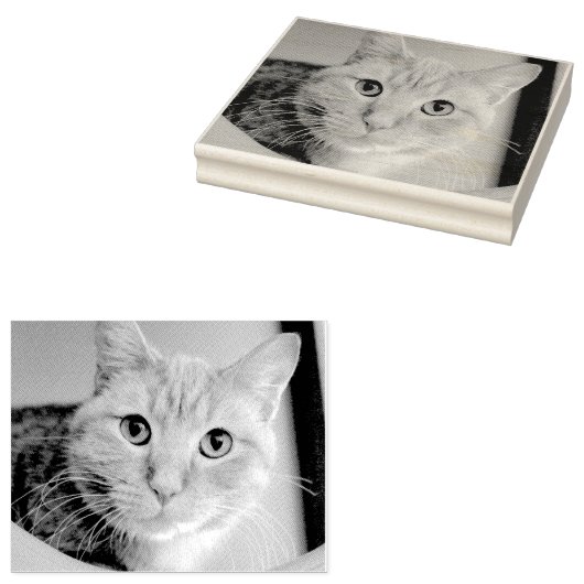 Katze Gummistempel (Stempel)