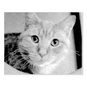 Katze Gummistempel (Prägung)