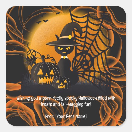 Katze Halloween Pet in spukhaften Kostümen Quadratischer Aufkleber (Vorderseite)
