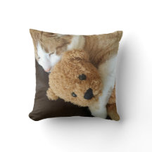 Katze hält alten Teddybären