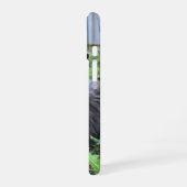Katze Handyhülle iPhone 16 Hülle (Linke Seite)