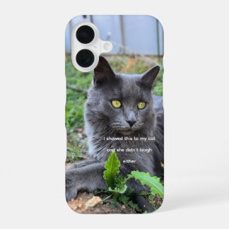 Katze Handyhülle  iPhone 16 Hülle