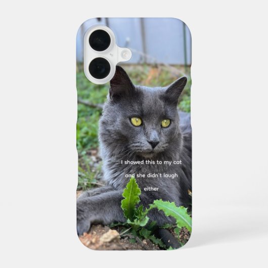 Katze Handyhülle iPhone 16 Hülle (Rückseite)