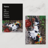 KATZE, HARLEQUIN HAT UND VINTAGE DAMPFLOKOMOTIVE VISITENKARTE (Vorne/Hinten)