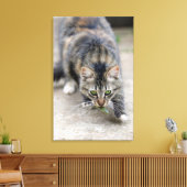 Katze hat eine Eidechse gefangen Leinwanddruck (Insitu (Wohnzimmer))