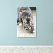 Katze hat eine Eidechse gefangen Leinwanddruck (Insitu (Holzboden))