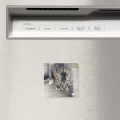 Katze hat eine Eidechse gefangen Magnet (In Situ (Geschirrspüler))