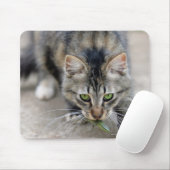 Katze hat eine Eidechse gefangen Mousepad (Mit Mouse)