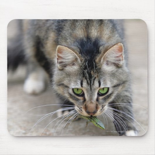 Katze hat eine Eidechse gefangen Mousepad (Vorne)