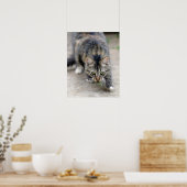 Katze hat eine Eidechse gefangen Poster (Küche)