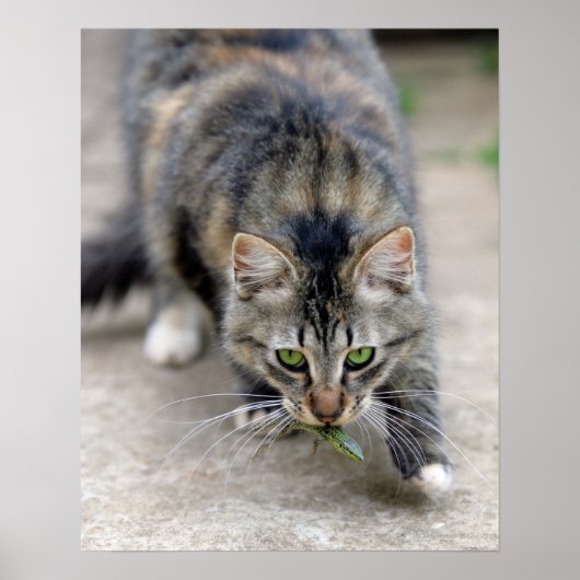 Katze hat eine Eidechse gefangen Poster (Vorne)