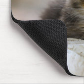 Katze, Hauskatze, Haustier Mousepad (Ecke)