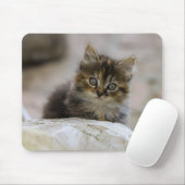 Katze, Hauskatze, Haustier Mousepad (Mit Mouse)
