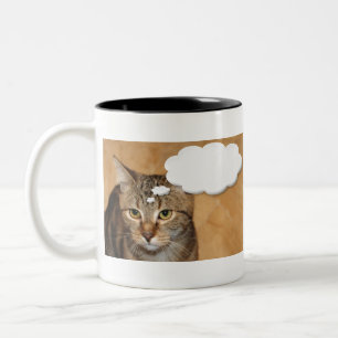 Katze Hauskatze Haustiere Tiere Wildtiere Zweifarbige Tasse