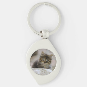 Katze, Hauskatze, Tier Schlüsselanhänger