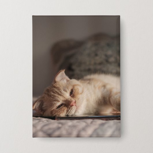 Katze, Haustier, Kätzchen Button (Vorderseite)