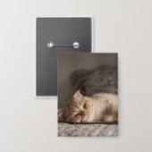 Katze, Haustier, Kätzchen Button (Vorderseite/Rückseite)