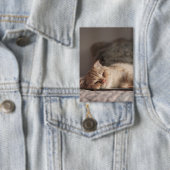 Katze, Haustier, Kätzchen Button (Insitu)