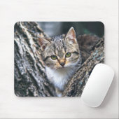 Katze, Haustier, Natur Mousepad (Mit Mouse)