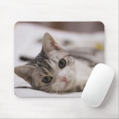 Katze, Haustier, Natur Mousepad (Mit Mouse)