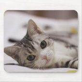 Katze, Haustier, Natur Mousepad (Vorne)