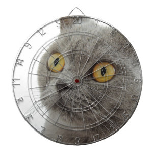 Katze Haustier Tier Mürrisch Stirnrunzeln Frieden  Dartscheibe