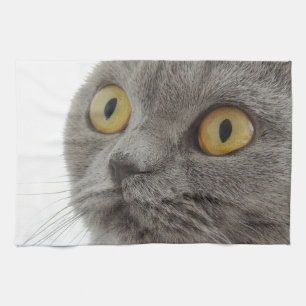 Katze Haustier Tier Mürrisch Stirnrunzeln Frieden  Handtuch