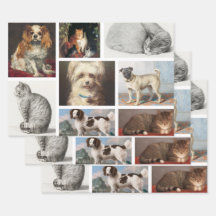 Katze Haustiere 8 Foto Portrait Collage Keepake