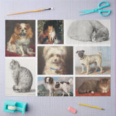 Katze Haustiere 8 Foto Portrait Collage Keepake Seidenpapier (Basteln)