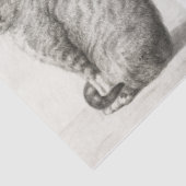 Katze Haustiere 8 Foto Portrait Collage Keepake Seidenpapier (Ausschnitt)