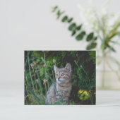 Katze - Haustiere Karte (Stehend Vorderseite)