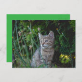 Katze - Haustiere Karte (Vorne/Hinten)