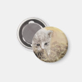 Katze, Haustiere, Niedlich Magnet (Vorderseite/Rückseite)