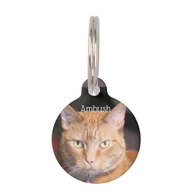 Katze Haustiermarke (Vorderseite)