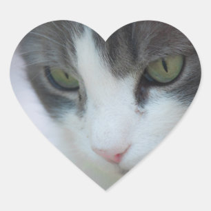 Katze Herz-Aufkleber