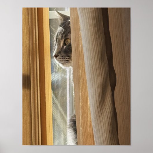 Katze hinter Vorhang Poster (Vorne)