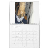 Katze Hintern 2022 Kalender (Feb 2027)