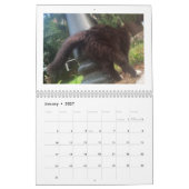 Katze Hintern 2022 Kalender (Jan 2027)