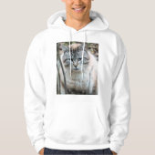 Katze Hoodie (Vorderseite)