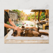Katze Hot Stone Spa Sitzung