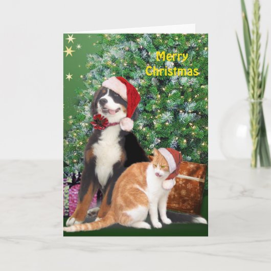 Katze & Hund mit Weihnachtsmannmützen Feiertagskarte (Vorderseite)