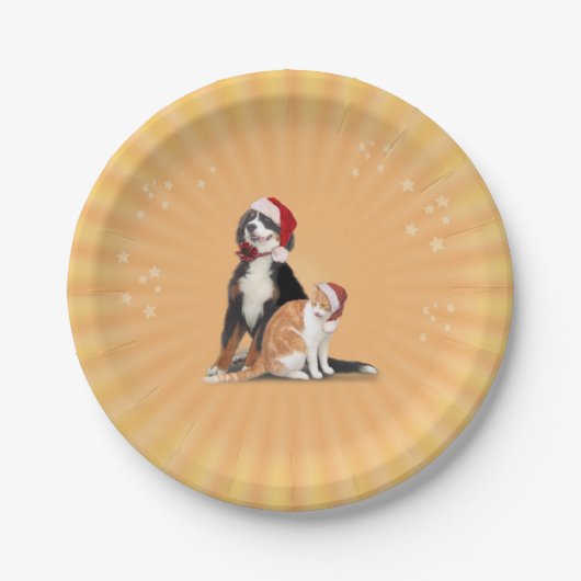 Katze & Hund mit Weihnachtsmannmützen Pappteller (Vorderseite)