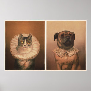Katze & Hund Poster