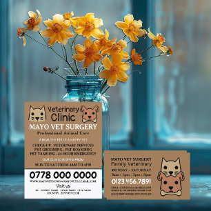 Katze & Hunde, Tierarzt, Veterinärdienst Flyer