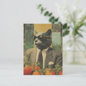 Katze im Anzug Mit Sonnenbrille im Tomatengarten Postkarte (Stehend Vorderseite)
