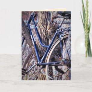 Katze im Baum mit Fahrrad Süße Lustige Katzen Karte