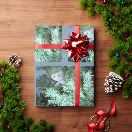 Katze im Baumumhüllungspapier Geschenkpapier (Feiertagsgeschenk)