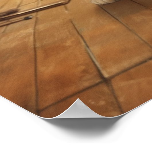 Katze im Boxgym Poster (Ecke)