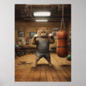 Katze im Boxgym Poster (Vorne)